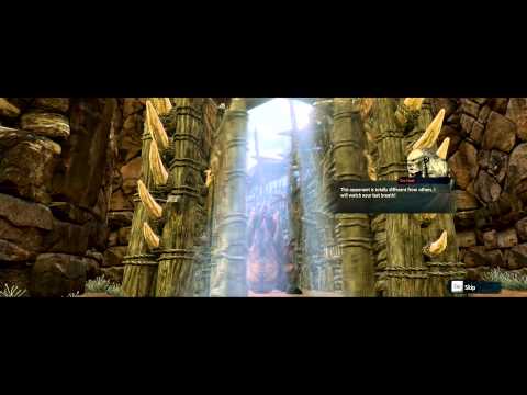 Vidéo 1