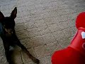 何があろうと、待て！
