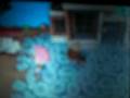 I am playing Animal Crossing Wild World