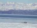 The Cold Edge: Winter Sea Kayaking in Kachemak Bay, Homer, Alaska