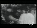 videos de THE BLACK DREAM - Martin Luther King part.7