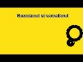 Buzoianul si semaforul
