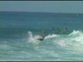Surfing with Whales - Big Island Hawaii 2/06