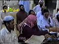 pile-of-shiite.html