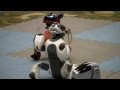 The Great Aibo Dance Off Part1