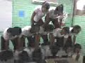 piramide de 3e