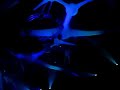 Sensation White Polska 2007 Intro