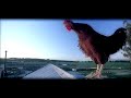 Crazy Spots I've Prayed - Dawud Wharnsby (Music Video)