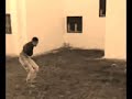 capoeira vs wushu capoeira vs wushu