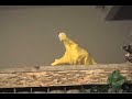 Edward Gorey Documentary Clip