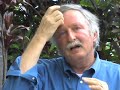 Natural Treatments for Infertility Natural Treatments for Infertility