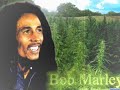 Bob Marley. Bob Marley.
