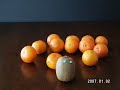 fruit war