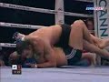 Fabricio Werdum vs. Aleksander Emelianenko