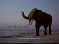 Incredibly Incredible India