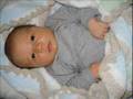 videos de Harrison Gray Vogt