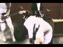 Dani California (Sadies Video 2008) Dani California (Sadies Video 2008)