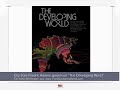 TheDevelopingWorld_dot_com_Berling_Wall.mov