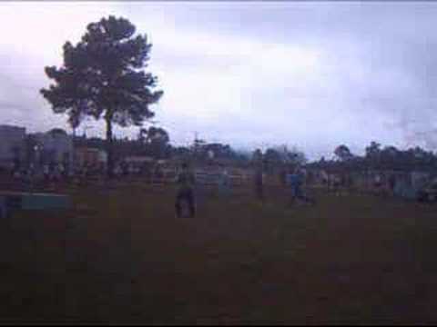 Pentatlo/pentathlon