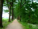 Goirle - De Vosserijten Goirle - De Vosserijten