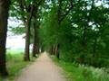 Goirle - De Vosserijten