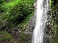 Click here to watch this video 渋沢大滝