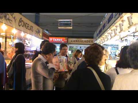 Visualitza el vídeo