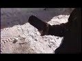 The ULTIMATE PGP Case Durability Test