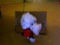 videos de Mr. Wuf IS Michael McDonald