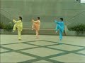 24 Taiji Quan - 二十四式太极拳