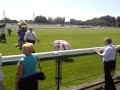 mascot race at haydock park