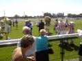 mascot race at haydock park