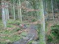 DSCI0041.AVI