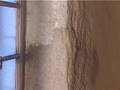 Hemp Plaster
