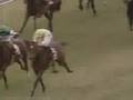 1992年デイリー杯3歳ステークス - ビワハヤヒデ
