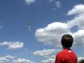 Giant Sea Turtle Kite - Crush Nemo Yertle Loggerhead Style