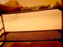 The monster under the bed