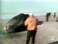 Oregon's Exploding Whale - 2002 KATU (abridged update)