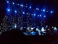 Elvis Costello 'Alison' 07/07/07 - Tower of London