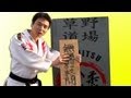 素人が本気で格闘道場破りでボコボコ|What if MEGWIN fight against Pro fighters