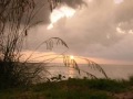 Click here to watch this video Nature and Landscapes | www.freewallpapers.come2join.com