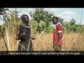 videos de Planting Hope part 1