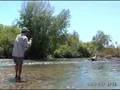 Fly Fishing Lower Canyon South Fork Snake River in Idaho