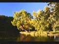 Belíssima Natureza