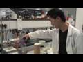 videos de Projectorhead: Colin (Hong Kong)