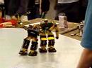 Fighting Robots Fighting Robots