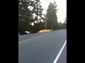 Jp boards