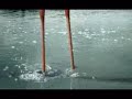 BMW 5-series commercial - Flamingo
