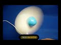Mini Cooling Fan BY G H