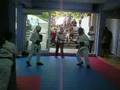 Hwa Rang Tang Soo Do - Trigonis Dimitris vd2